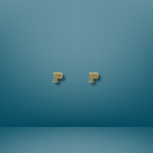 Block Initial Earrings